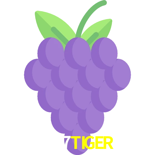 777TIGER